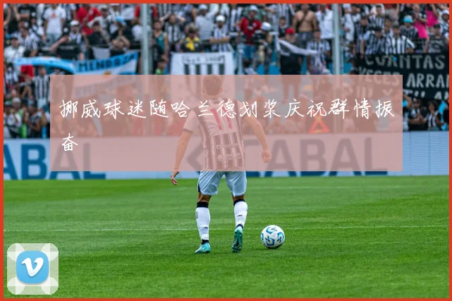挪威球迷随哈兰德划桨庆祝群情振奋